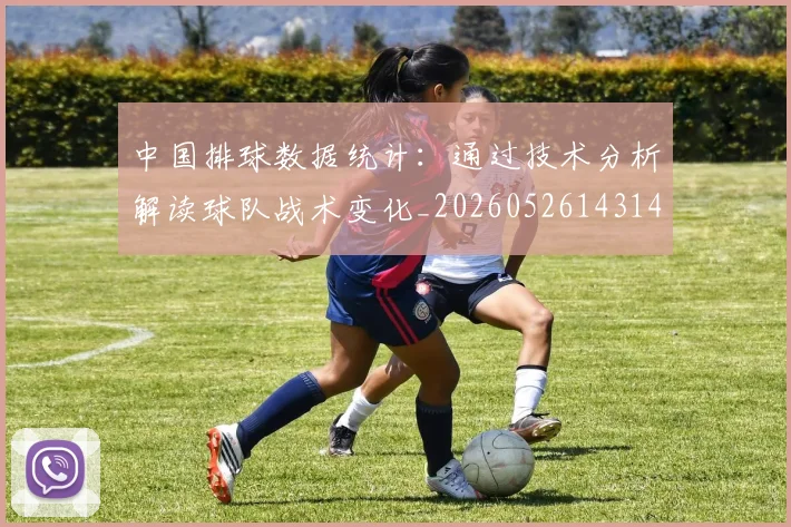 中国排球数据统计：通过技术分析解读球队战术变化_20260526143141